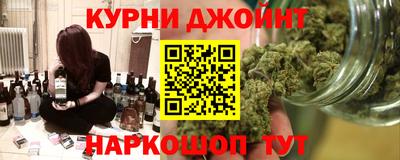 мяу мяу мука Гай