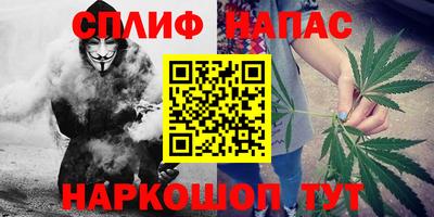 шишки Гагарин