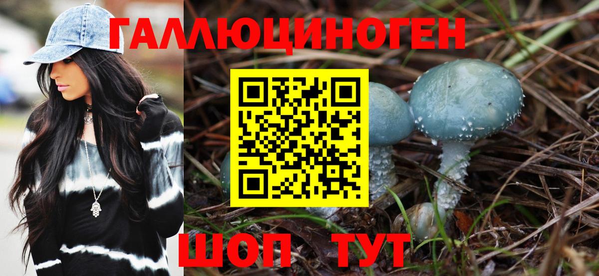 Псилоцибиновые грибы мицелий Мурино